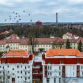 DJI_20240218090925_0792_D_Easy-Resize.com.jpg